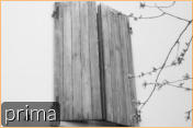 prima