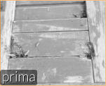 prima