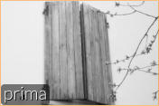 prima